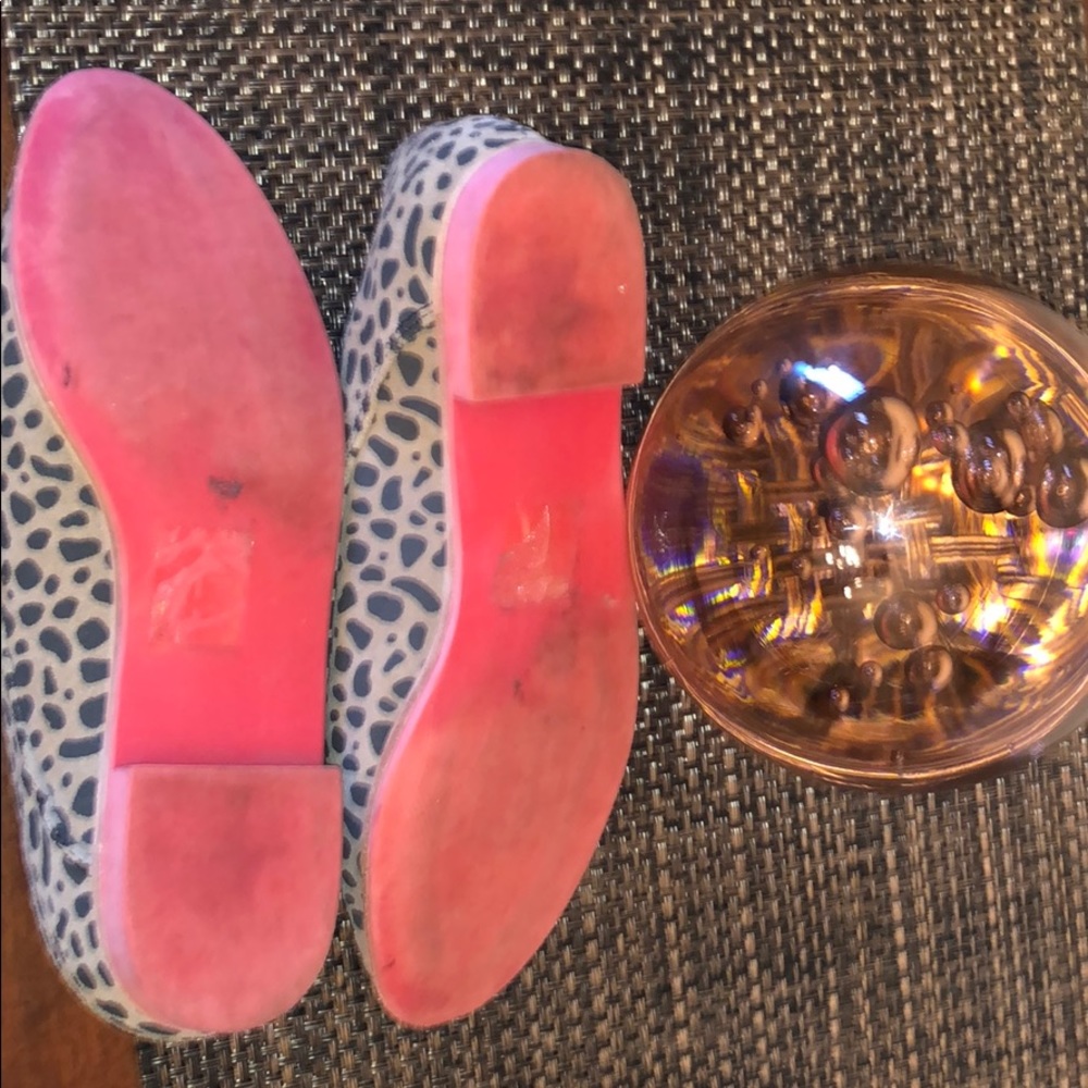 Cheetah Power! - Picture 4 of 7